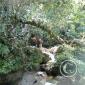 ARREGLO REPRESA 2009